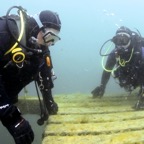 Intro_to_NE_diving_2019_84.JPG