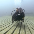 Intro_to_NE_diving_2019_87.JPG