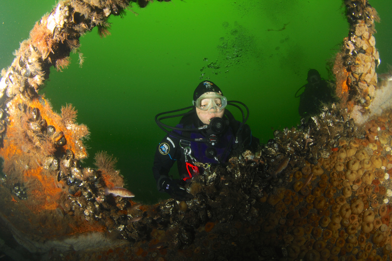 Scuba diver on the Stolt Dagali shipwreck off the New Jersey coast