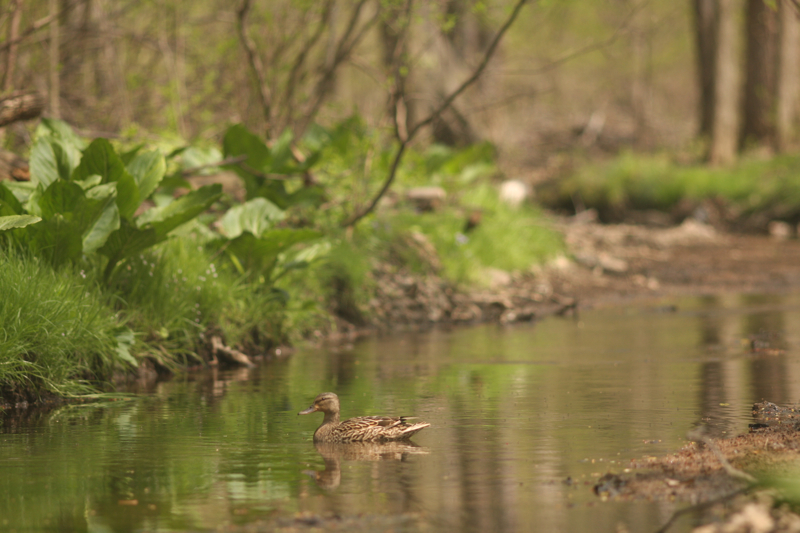 Stacks Image 91